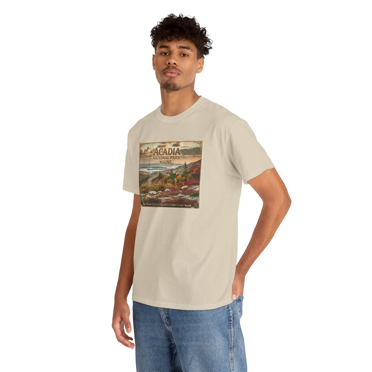 T-shirt vintage à motif paysager du parc national d'Acadia, Maine | T-shirt de parc national