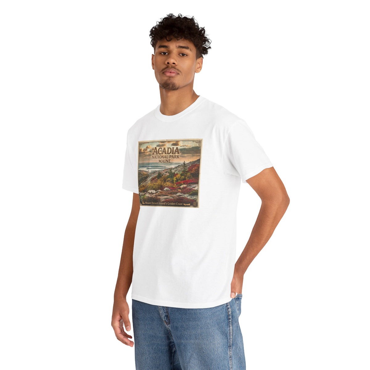 T-shirt vintage à motif paysager du parc national d'Acadia, Maine | T-shirt de parc national