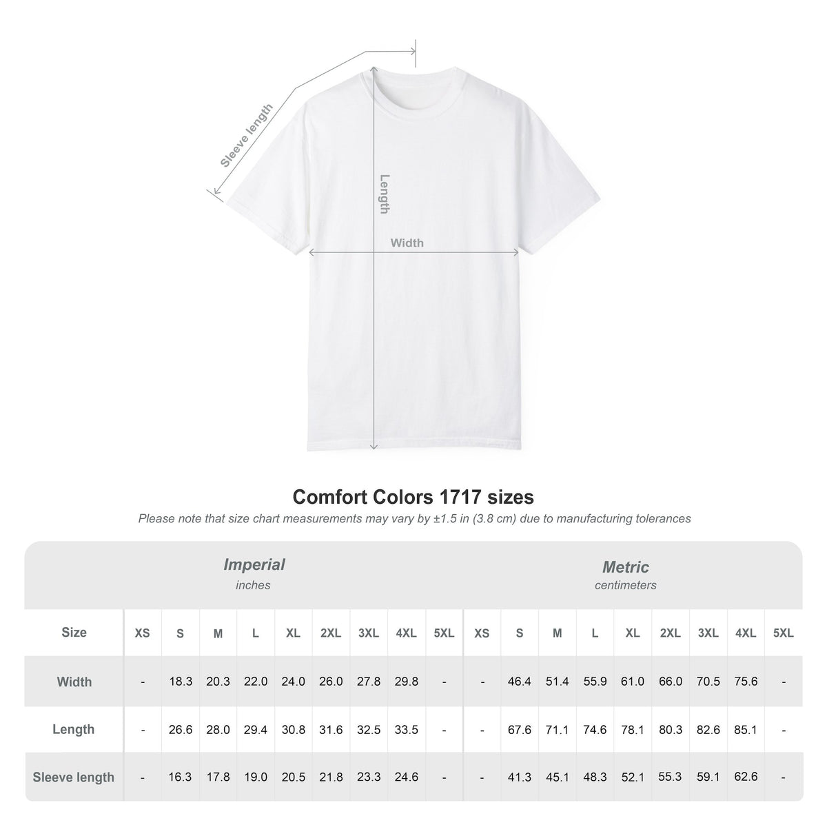 Camiseta del Monte Rainier, playera Comfort Colors de la naturaleza de Washington