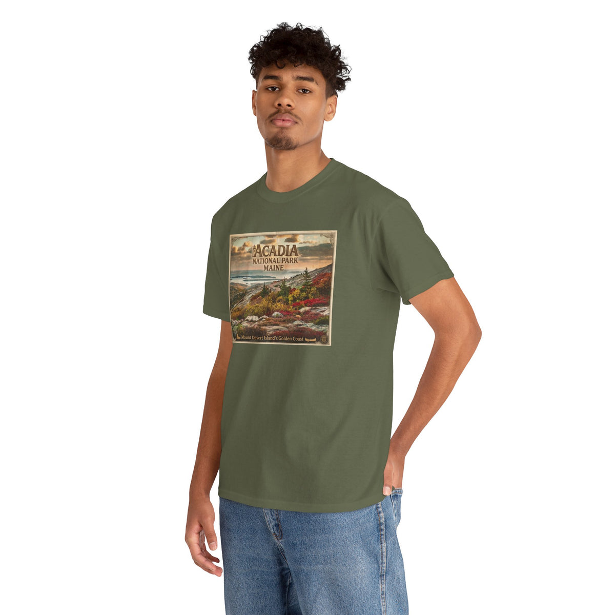 T-shirt vintage à motif paysager du parc national d'Acadia, Maine | T-shirt de parc national